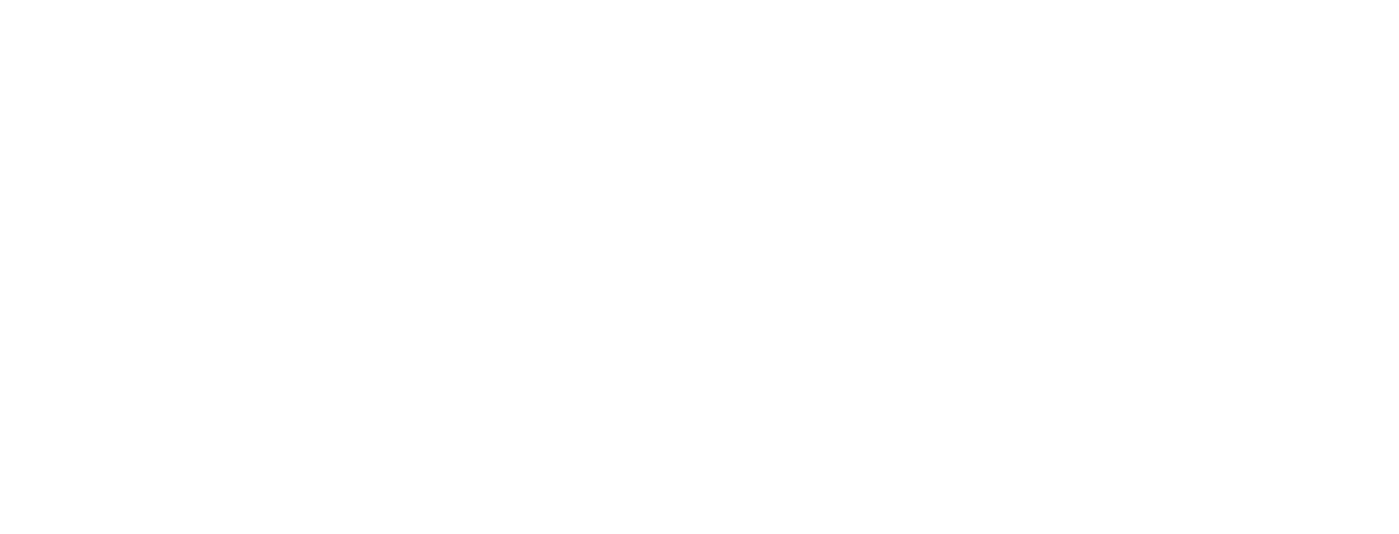 visit red sea logo