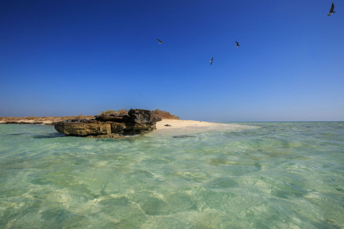 Environmental Safeguarding: The Red Sea's Blueprint for Regenerative Tourism