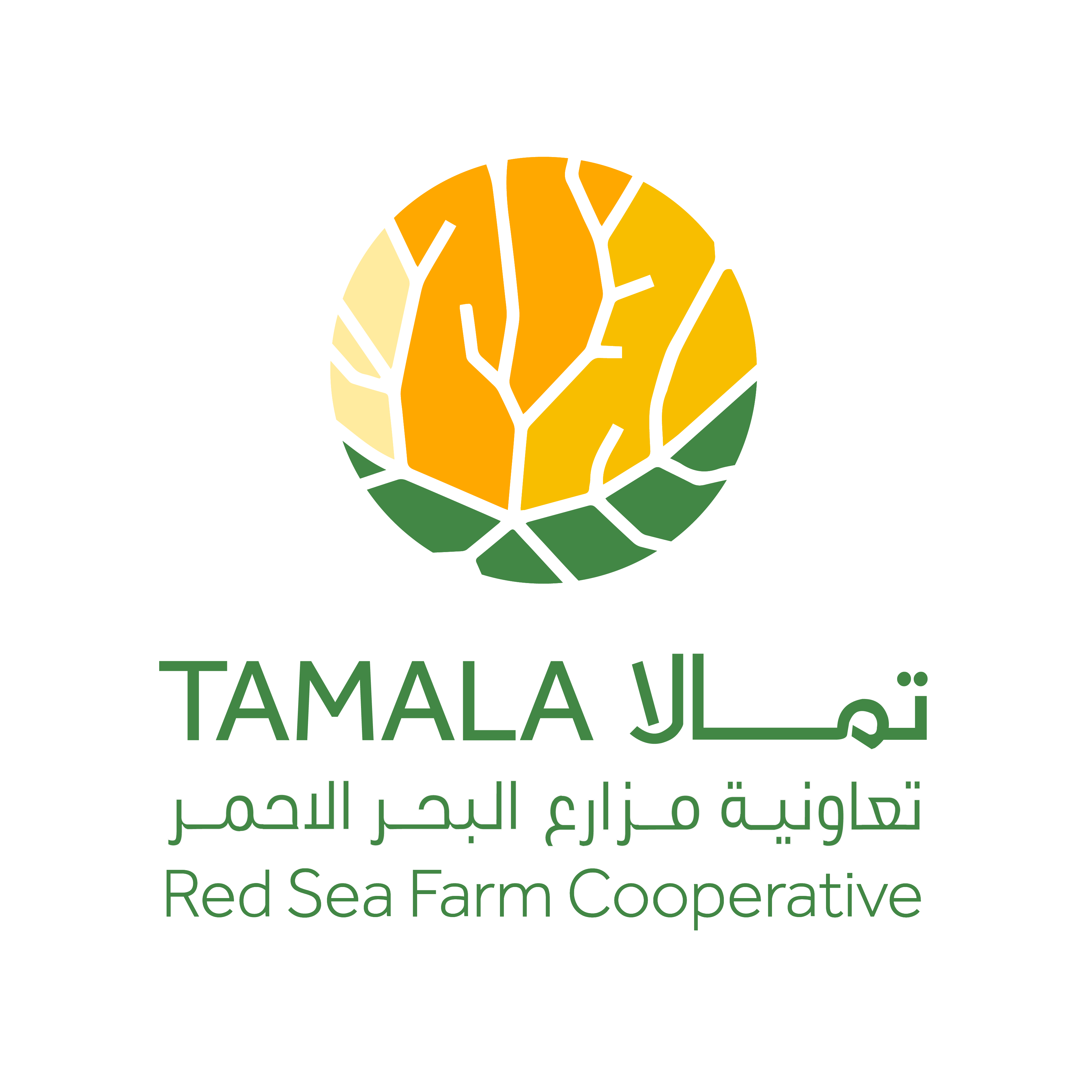 Red Sea Global launches The Red Sea Farm Cooperative to transform agricultural economy in Tabuk region