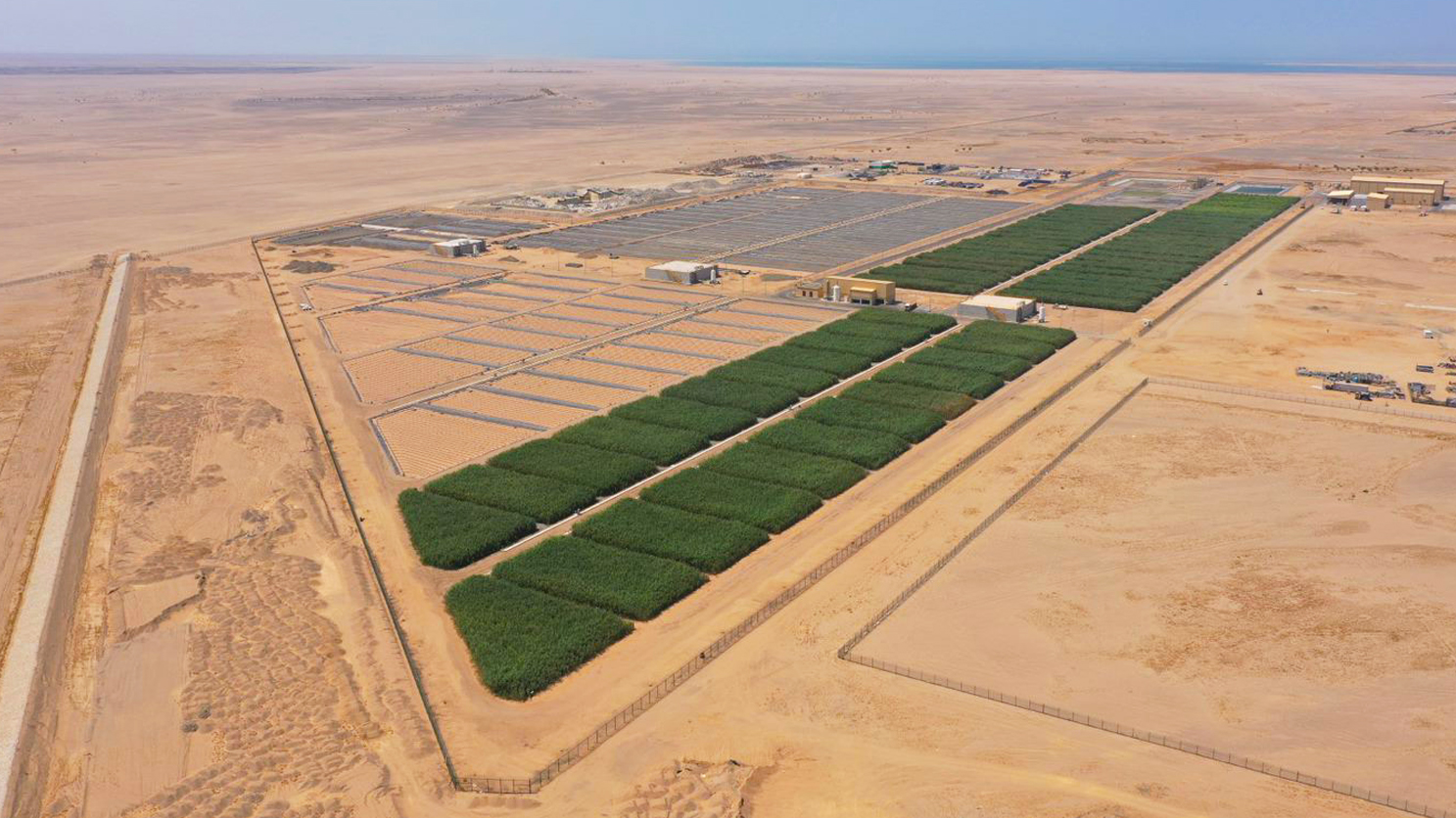 Red Sea Global and ACWA Power create more than 20 acres of new wetlands in line with Saudi Arabia’s climate action